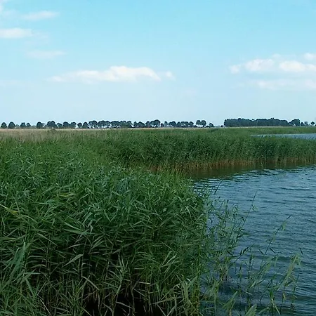 Feriendorf Puddeminer Wiek Prázdninový dům
